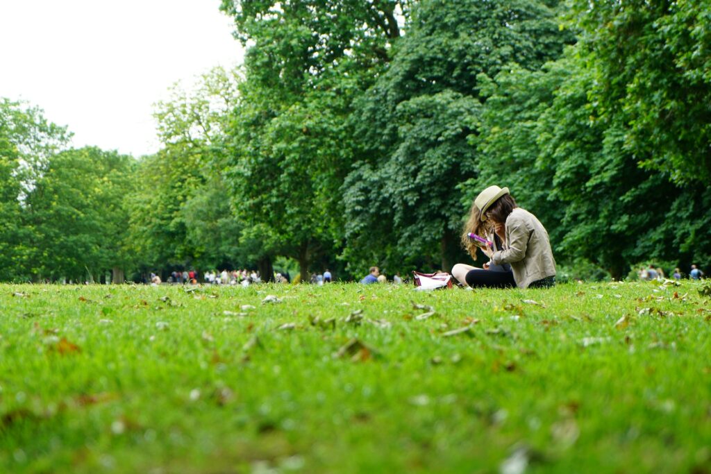 a park scene with people sitting on blankets enjoying the day