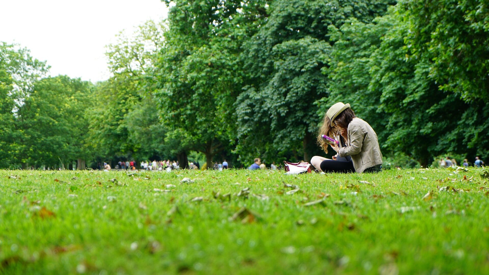 a park scene with people sitting on blankets enjoying the day